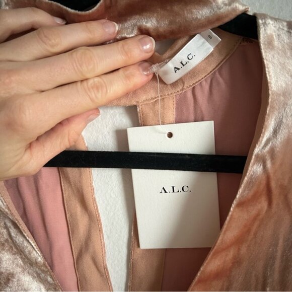 ALC Sz 6 NWT Blaise Dusty Pink Velvet Chocker Relaxed Party Blouse - Picture 7 of 12